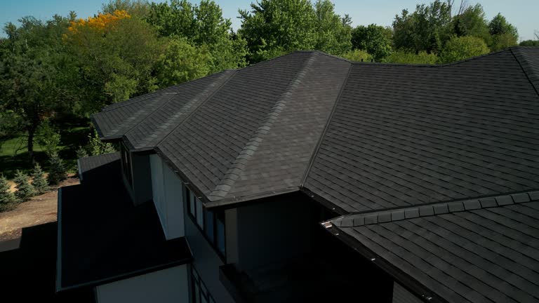Best Roof Maintenance and Cleaning  in Mount Prospect, IL