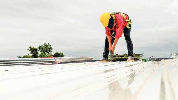 Gutter Replacement in Mount Prospect, IL