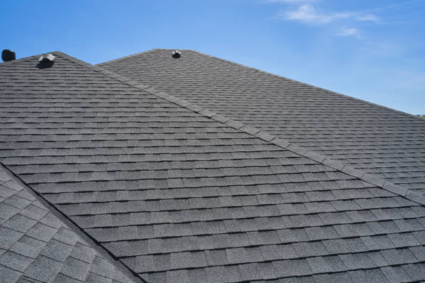 Best Roof Insulation Installation  in Mount Prospect, IL